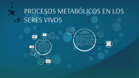 Procesos MetabÓlicos En Los Seres Vivos By Ana Lopez Guerra On Prezi