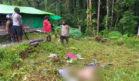 KKB Makin Brutal Penambang Emas Di Pegunungan Bintang Papua Dibunuh