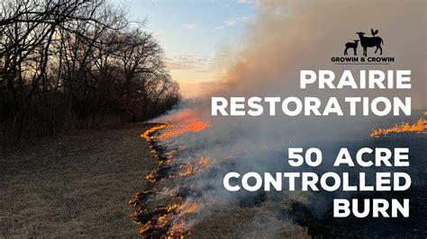 How To Do A Controlled Burn On 50 Acres Of Prairie Grass Controlled Prescribed Burn Crp