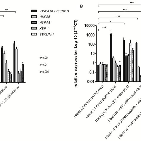 A Western Blotting Analysis Hsp70 Beclin 1 And Xbp 1s Protein