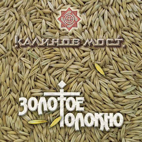 Толокно - YouTube Music