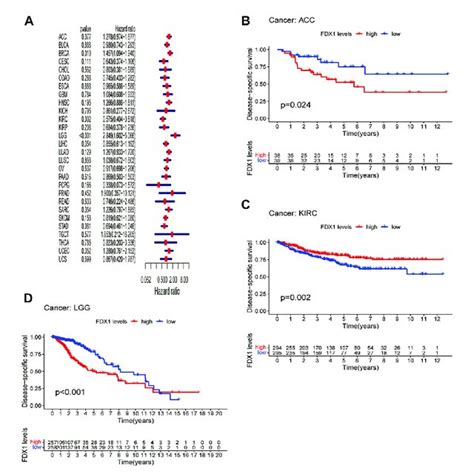 Differential Expression Of Fdx A Comparison Of Fdx Expressions