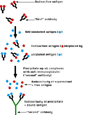 Pratik Mistry: Radioimmunoassay