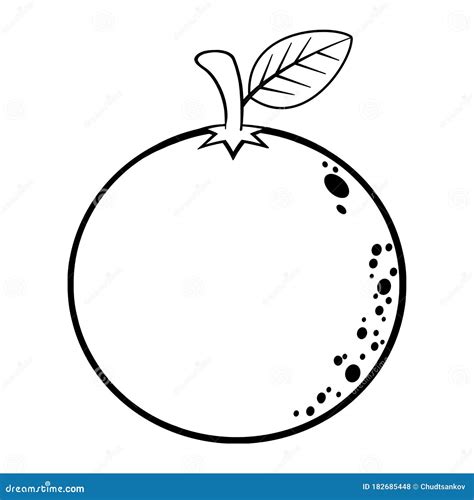 Orange Fruit Drawing Images
