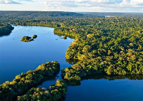 Redução Do Desmatamento Na Amazônia Faz Brasil Ter Maior Queda Geral