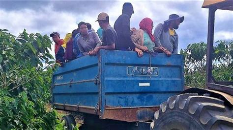 MPT resgata 25 trabalhadores que estavam atuando em situação análoga a