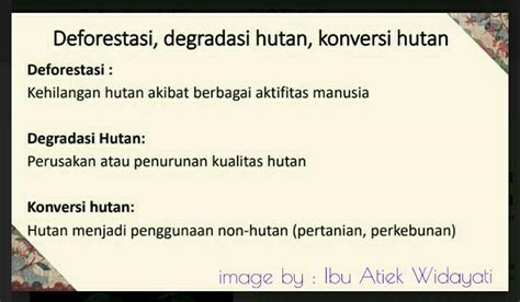 Bumi Lestari Tanpa Deforestasi Hutan