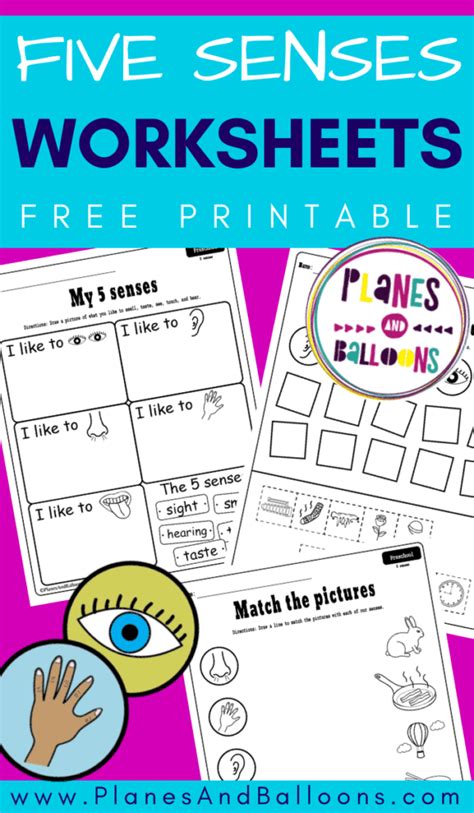Free Printable Five Senses Worksheets Artofit