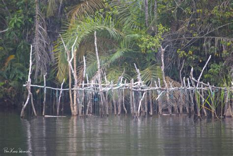 32 Hours In Nzulezu Journey Towards Discovery