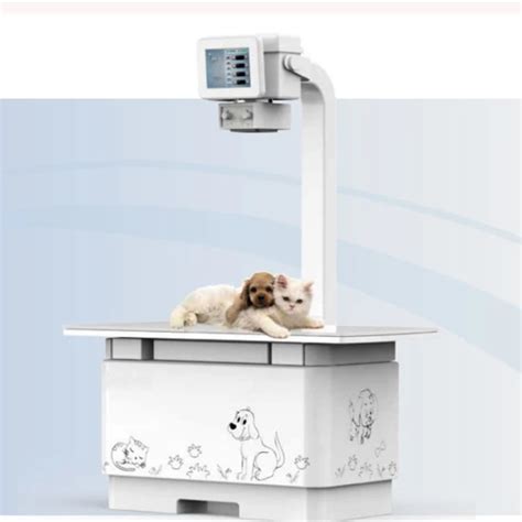 Veterinary Digital Radiography System For Panoramic Veterinary Xray