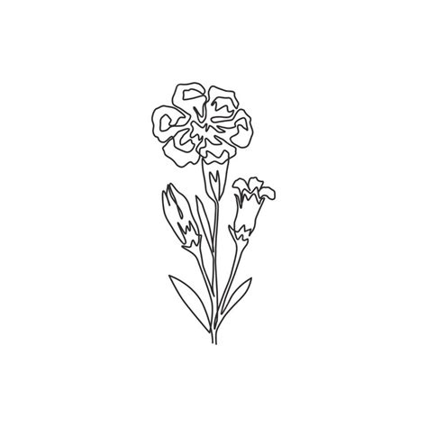 Premium Vector One Continuous Line Drawing Beauty Carnation For