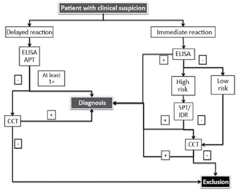 Diagnostic process of amoxicillin allergy | Download Scientific Diagram