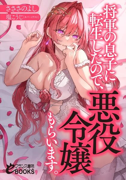 将軍の息子に転生したので、悪役令嬢もらいます。 美少女ノベル・官能小説 Fanzaブックス旧電子書籍