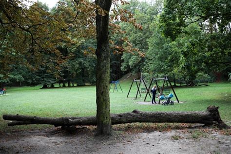 Gdzie Na Spacer W Krakowie Park Bednarskiego Nowiny