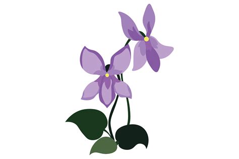 Rhode Island State Flower - Viola SVG Cut file by Creative Fabrica ...
