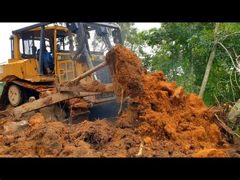 Awesome Mighty Bulldozer Building New Road Across Palm Tree Farms YouTube