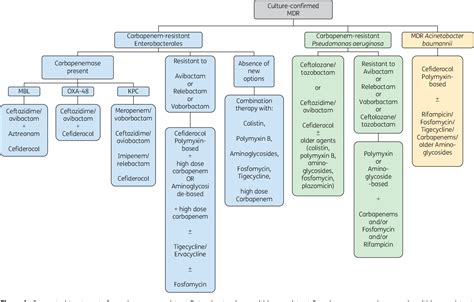 Pdf Current And Future Perspectives In The Treatment Of Multidrug