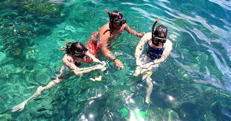 Phi Phi Island Khai Island Tour By Speedboat Phuket Tours Traveliss