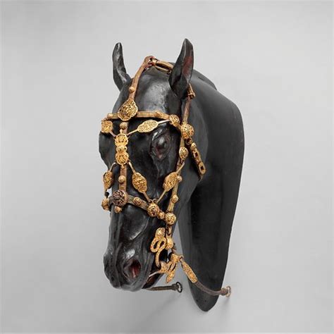 bit  bridle  public domain image   learn