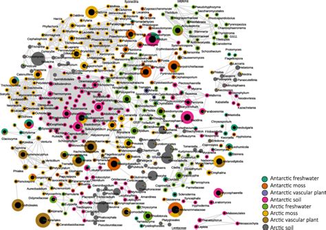 A Correlation Network Analysis To Illustrate The Correlation Of Fungal