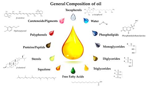 Vegetable Oil Structural Formula