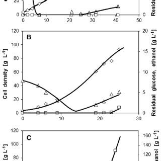 Catalase Activity Of S Cerevisiae CEN PK113 5D Growing In Aerated