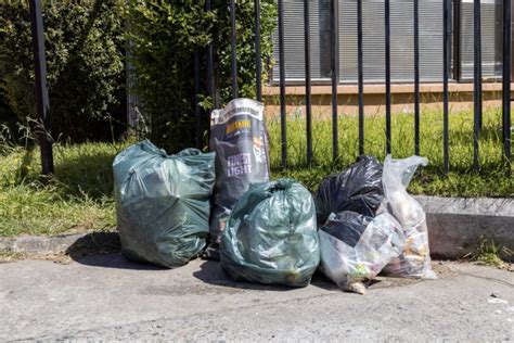 Crisis De La Basura Si No Cambiamos La Cultura Del Descarte Todo Va