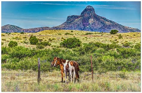 Alpine Landscape Alpine Texas