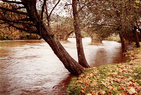 Rio Alva A Passar Em Sandomil Em Pleno Outono