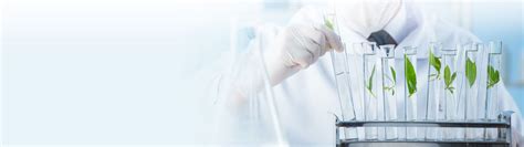 Team - Delightex - Research, Venture Creation and Investment