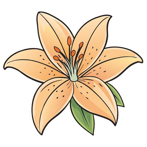 Premium Vector Lily Cartoon Style Icon Vector Clipart Illustration