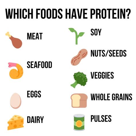 Protein 101 Why Is Protein So Important Chelsea Dishes Healthy High Protein Meals Protein