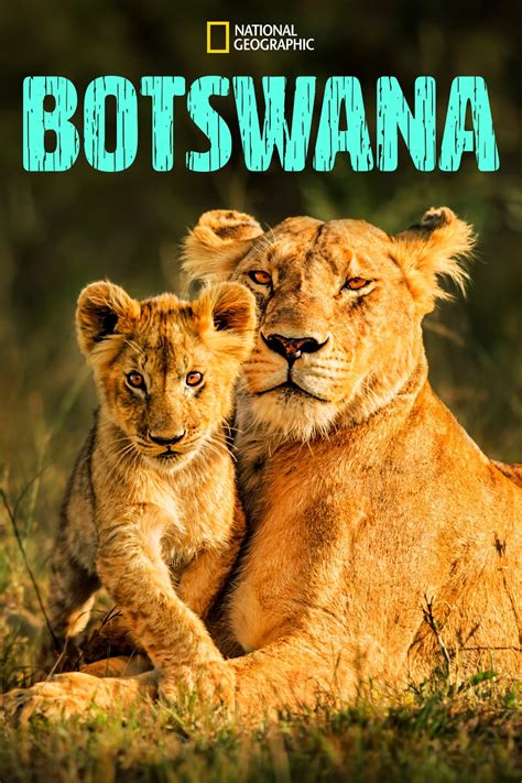 Botswana Serie Tr Iler Resumen Reparto Y D Nde Ver Creada