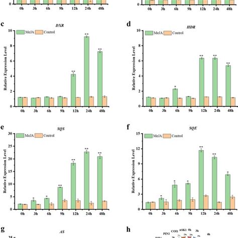 Meja Regulated Genes Differential Expressions Of Triterpenoids