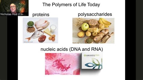 Nucleic Acids Food Examples