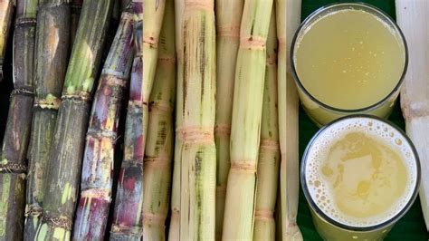 Excellent Benefits Of Sugarcane Juice For Good Health