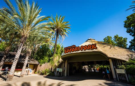 San Diego Zoo Safari Park Review & Tips - Travel Caffeine