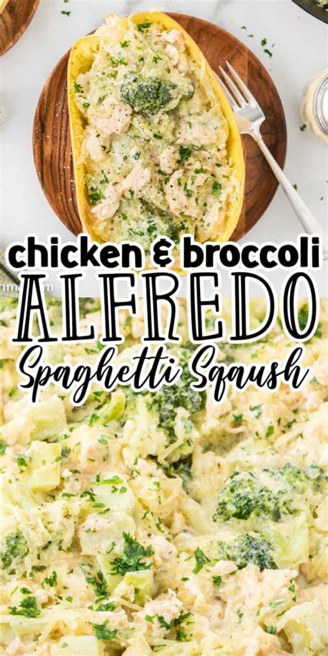 Chicken And Broccoli Alfredo Spaghetti Squash Recipe