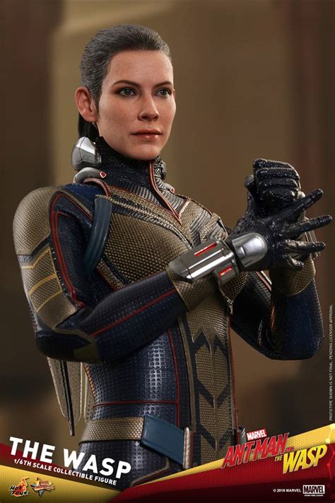 Hot Toys蟻俠2黃蜂女現身黃蜂女 The Wasp 1 6比例珍藏人偶登場 Toys Zone D 玩具兄弟 Figures Price List Reviews