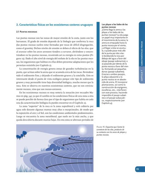 Arenas Ecosistemas Costeros PDF