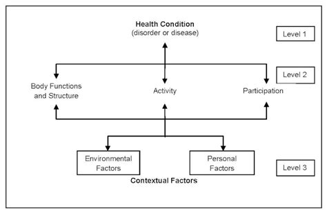 Figure 1 The International Classification Of Function Disability And