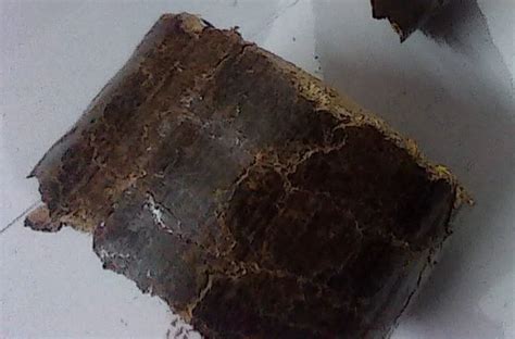 90 Mm Sawdust Briquette At ₹ 9kg Sawdust Briquette In Ludhiana Id