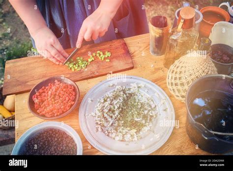 La Vida De Los Primeros Pioneros De Am Rica La Chica Prepara Comida En