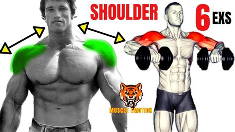 Best Shoulders With Dumbells Only Les Meilleurs Exercises