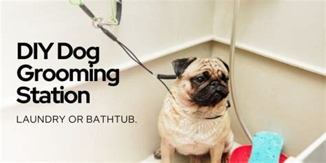 Your Guide On How To Make A DIY Dog Grooming Station At Home