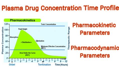 Plasma Drug Concentration Time Profile Pharmacokinetics Parameters