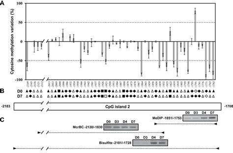 Dna Demethylation Occurs In A 78 Bp Region Of The Prcyp707a1 Promoter