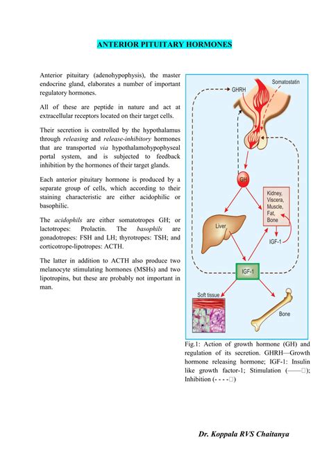 Anterior Pituitary Hormones.pdf