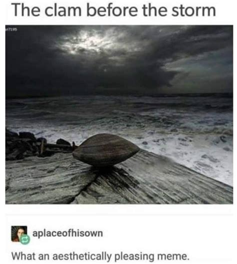 clam shell - Meme by rainbowcat137 :) Memedroid