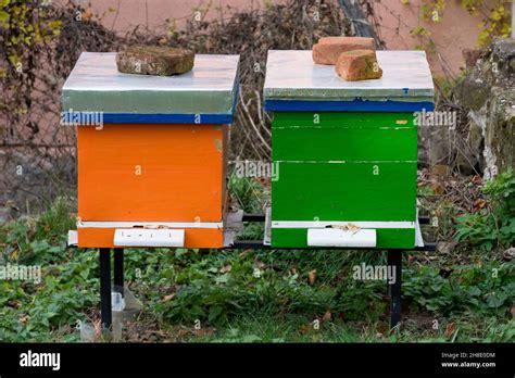 Two Wooden Beehives Painted Orange And Green Color On A Yard In A